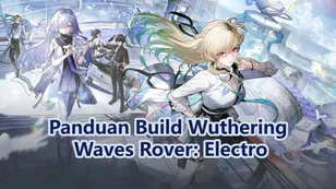 Panduan Build Wuthering Waves Rover: Electro