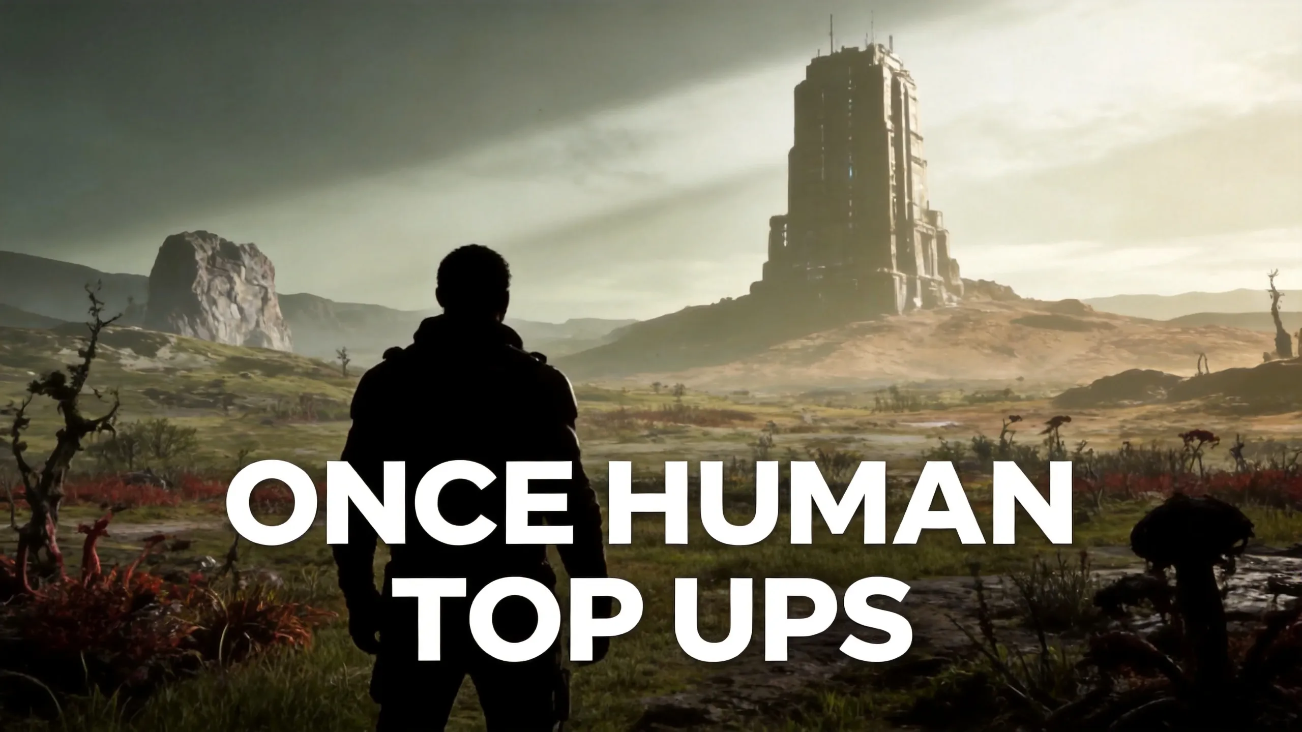 Once Human top ups