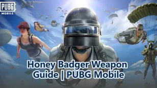 Honey Badger Weapon Guide | PUBG Mobile